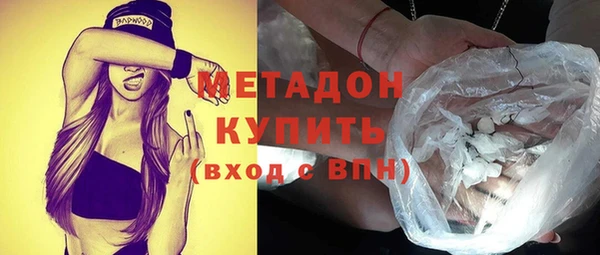 индика Алзамай