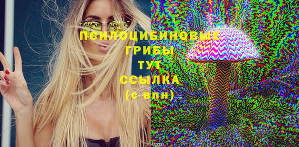 соль ск Алексеевка