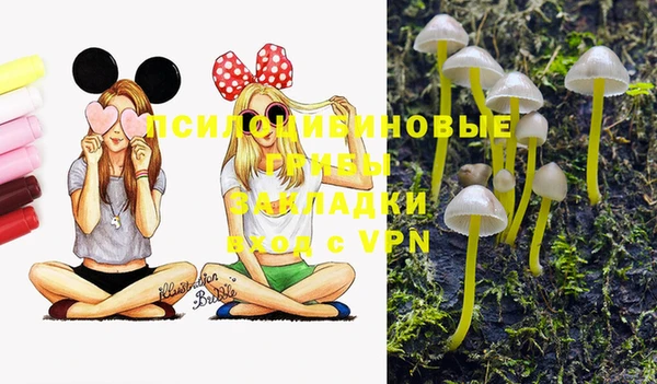 индика Алзамай