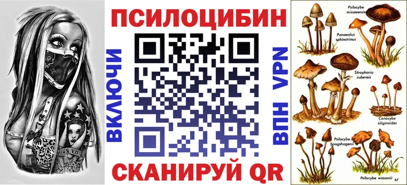 Псилоцибиновые грибы Cubensis  где купить наркоту  hydra маркетплейс  Алексеевка 